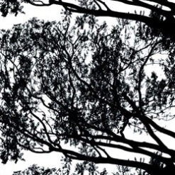 Marimekko Tuuli Black / White Upholstery Fabric